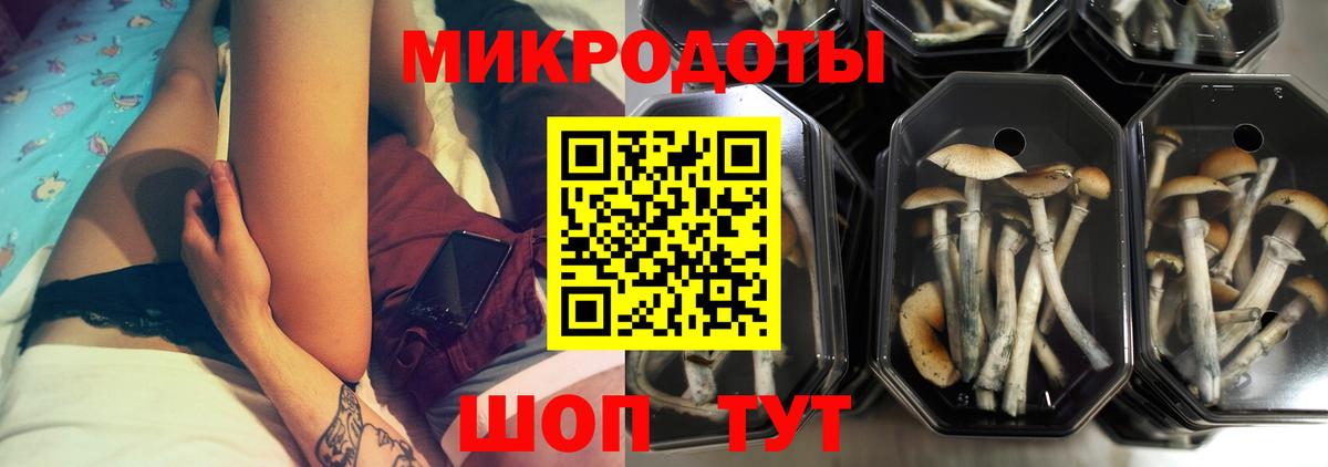 Галлюциногенные грибы ЛСД  Галлюциногенные грибы Psilocybine cubensis  Можайск  Вход с VPN 